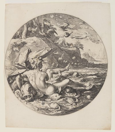 The Fifth Day (Plate 6), from Creation of the World by Jan Harmensz. Muller