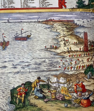 Fishing scene and preparing fish at port city of Cadiz by Jan Janssonius