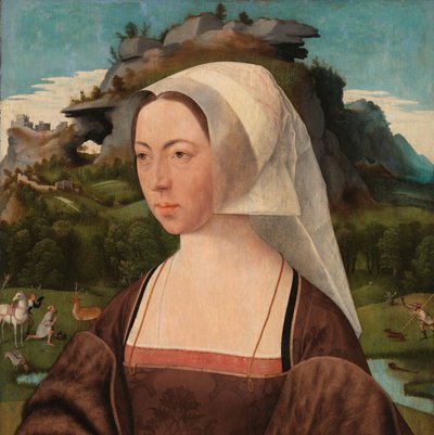 Portrait of an Unknown Woman by Jan Jansz Mostaert