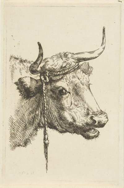 Head of a Cow by Jan Kobell (II)