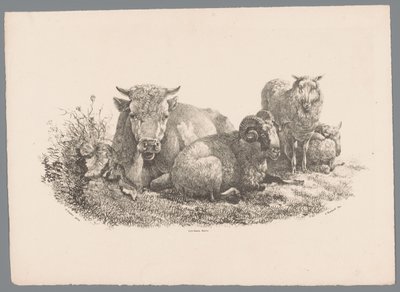 Cow, Ram, and Two Sheep by Jan Kobell (III)