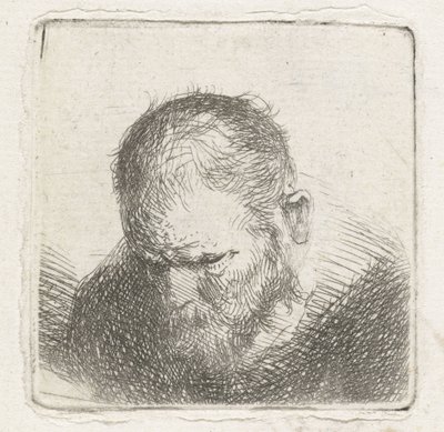 Man with Beard by Jan Lievens (possibly)
