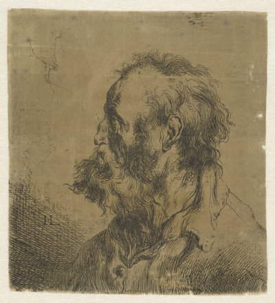 Bust of an Old Man with a Beard by Jan Lievens