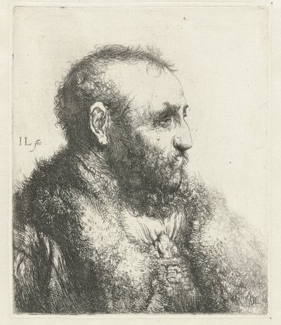 Bust of an Old Man with Fur Coat by Jan Lievens