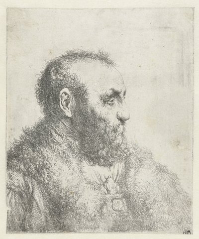 Bust of an Old Man with Fur Coat by Jan Lievens