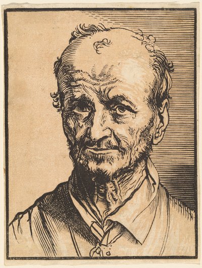 Bust of a Balding Man by Jan Lievens