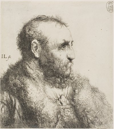Bust of an Old Man by Jan Lievens