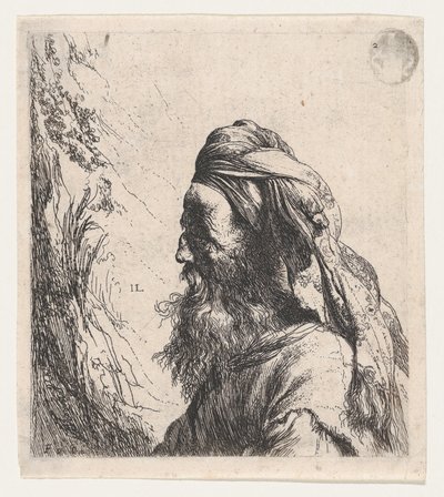 Man in a Turban Facing Left by Jan Lievens