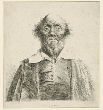 Portrait of an Old Man by Jan Lievens