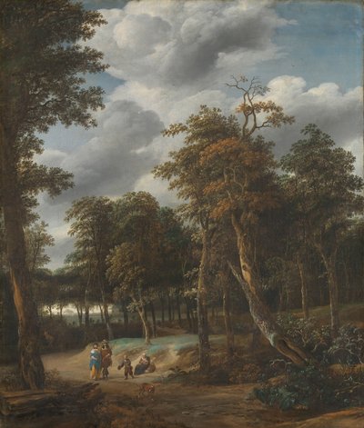 Forest Road by Jan Looten