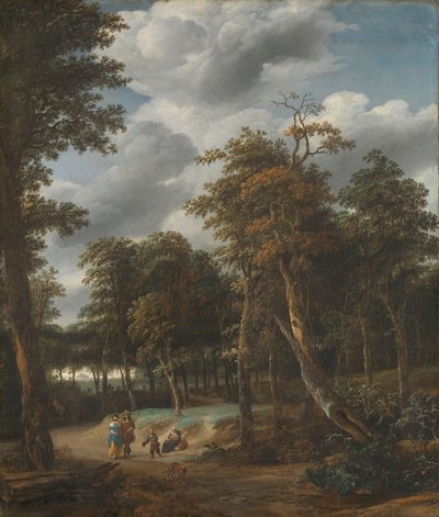 Forest Road by Jan Looten