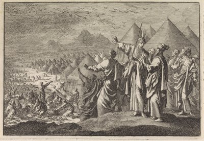 Quails in the Desert by Jan Luyken