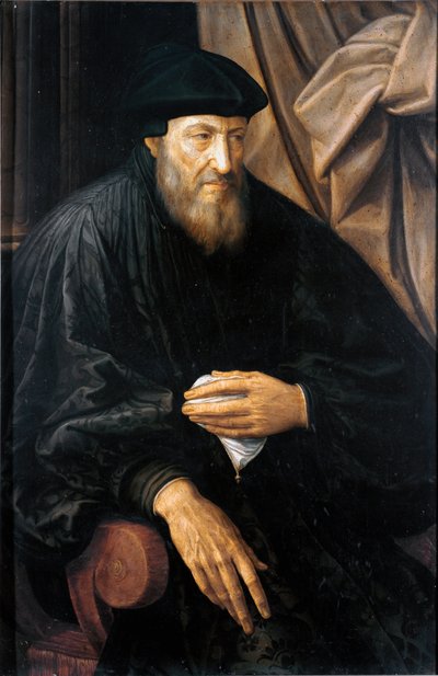 Portrait of Andrea Doria, Italian condottiere and admiral from Genoa by Jan Massys or Metsys