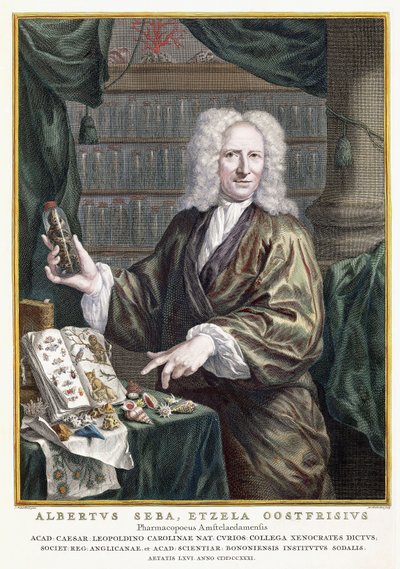 Portrait of Albertus Seba, from Locupletissimi Rerum Naturalium Thesauri Accurata Descriptio, 1734-1765 by Jan Maurits Quinckhardt