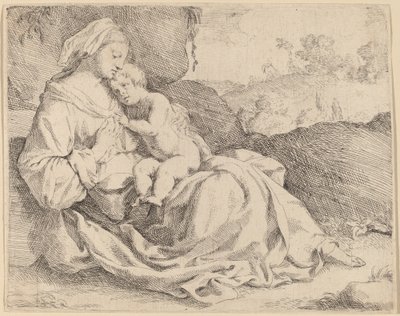 The Virgin and Child on a Grassy Bank by Jan Miel