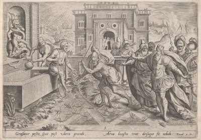 The Plague of Locusts by Jan Sadeler I, after Maarten van Cleef