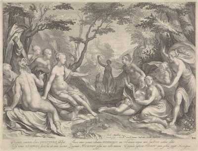 Diana Discovers Callisto