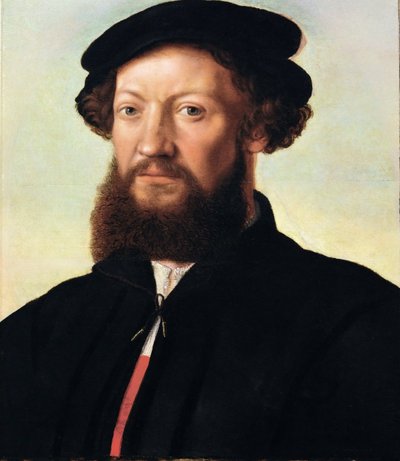 Portrait of a Man by Jan Sanders van Hemessen
