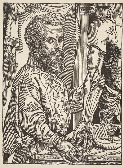 Andre Vesale, copy by Boris Mestchersky, illustration from Histoire de la Nation Francaise, Sciences, Volumes I and II, by Gabriel Hanotaux, 1924 by Jan Stephen van Calcar