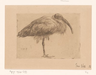 Ibis by Jan Veth (signed by artist)