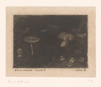 Mushrooms by Jan Veth (signed by artist)