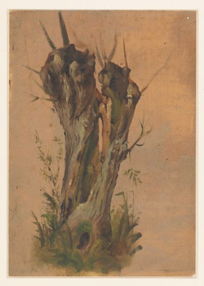 Pollard Willow by Jan Weissenbruch