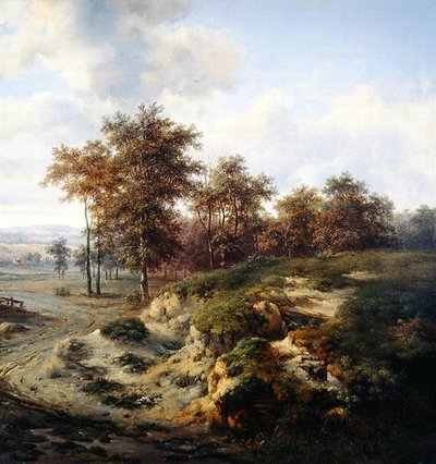 The Path to Sandhugel by Jan Wijnants