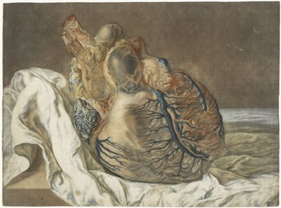 Prints of the Brain and the Heart by Jan l