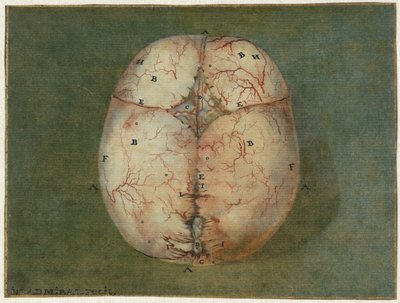 Prints of the Brain and the Heart by Jan l