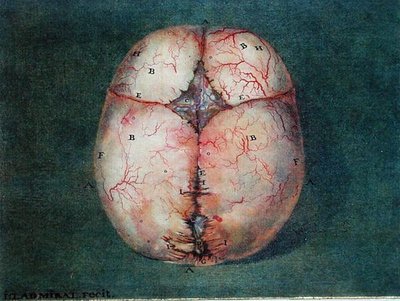 The Brain, from 