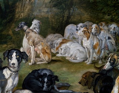 Dogs (detail) from Diana and Nymphs on point of leaving by Jan the Elder Brueghel