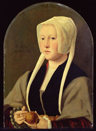Portrait of a Lady by Jan van (attr. to) Scorel