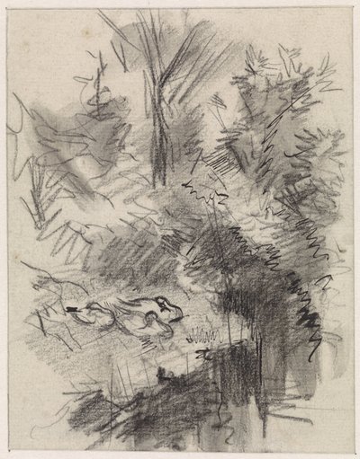 Ducks Sleeping Among Bushes by the Water by Jan van Essen