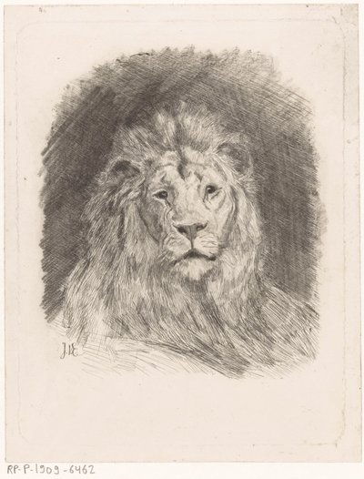 Head of a Lion by Jan van Essen