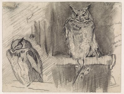 Two Studies of an Owl by Jan van Essen