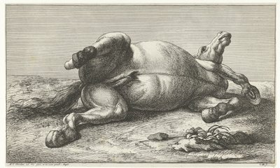Fallen Horse Lying on Its Left Side by Jan van Huchtenburg