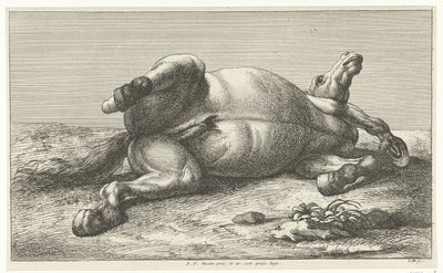Fallen Horse Lying on Its Left Side by Jan van Huchtenburg