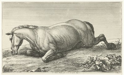 Fallen Horse Lying on Its Belly (Fallen Horses series) by Jan van Huchtenburg