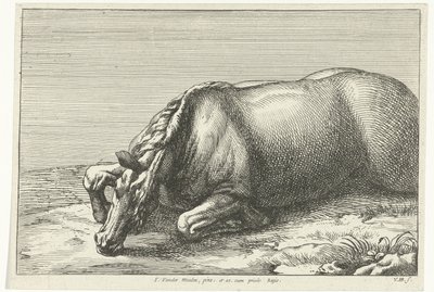 Fallen Horse Seen from the Left Side (Fallen Horses) by Jan van Huchtenburg