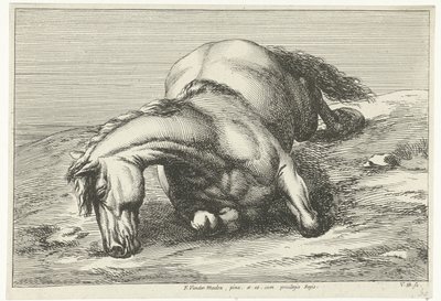 Fallen Horse Lying on Its Right Side by Jan van Huchtenburg