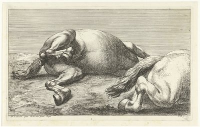 Two Fallen Horses, the Right One Seen from the Side by Jan van Huchtenburg