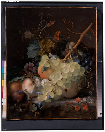 A Still Life Of Grapes and A Peach On A Stone Ledge by Jan van Huysum