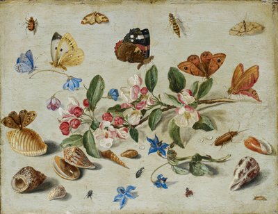 Flowers and Insects, late 1650s or early 1660s by Jan van Kessel
