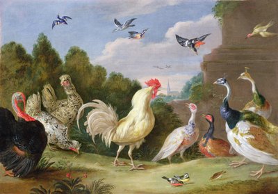 Wooded Landscape with a Cock, Turkey, Hens and other Birds, 17th century by Jan van Kessel the Elder