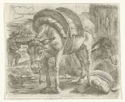 Pack Donkey by Jan van Ossenbeeck