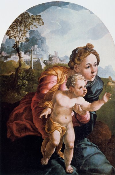 The Virgin and Child, 16th century by Jan van Scorel