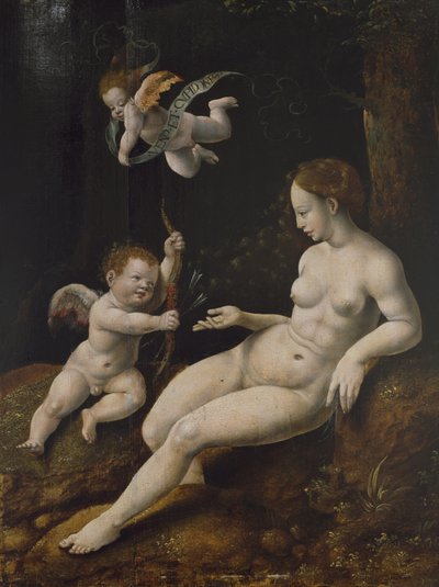 Venus and Two Cupids by Jan van Scorel