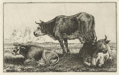 Three Cows by Jan van den Hecke