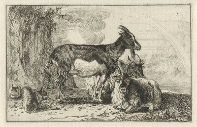 Goats (Animals) by Jan van den Hecke