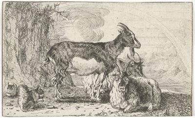 Goats (Animals) by Jan van den Hecke